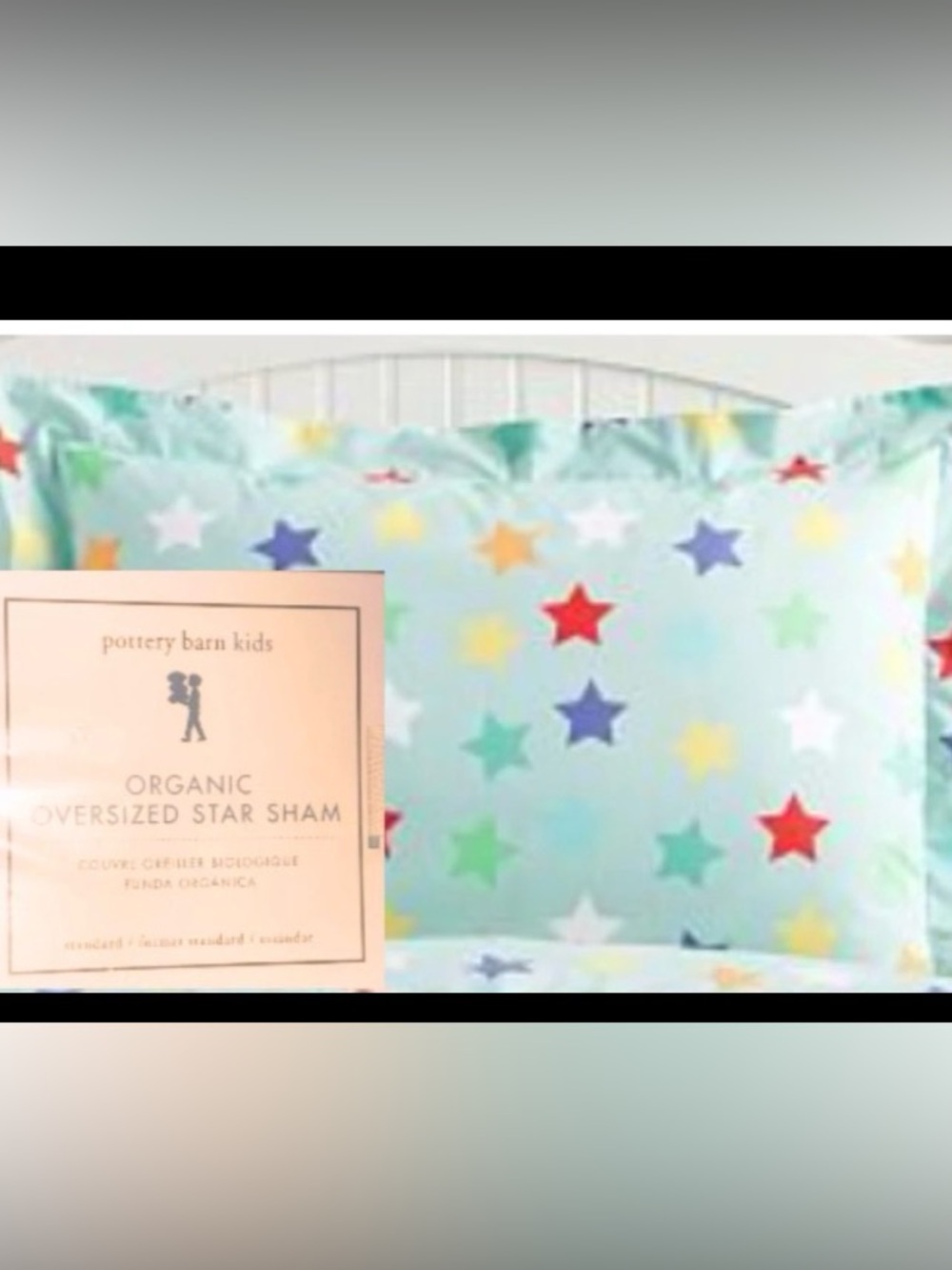 Pottery Barn Sham Organic Oversized Star Sham Cotton 20 in. x 26 in.